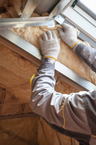Best Insulation Maintenance and Repair in Medina, TX